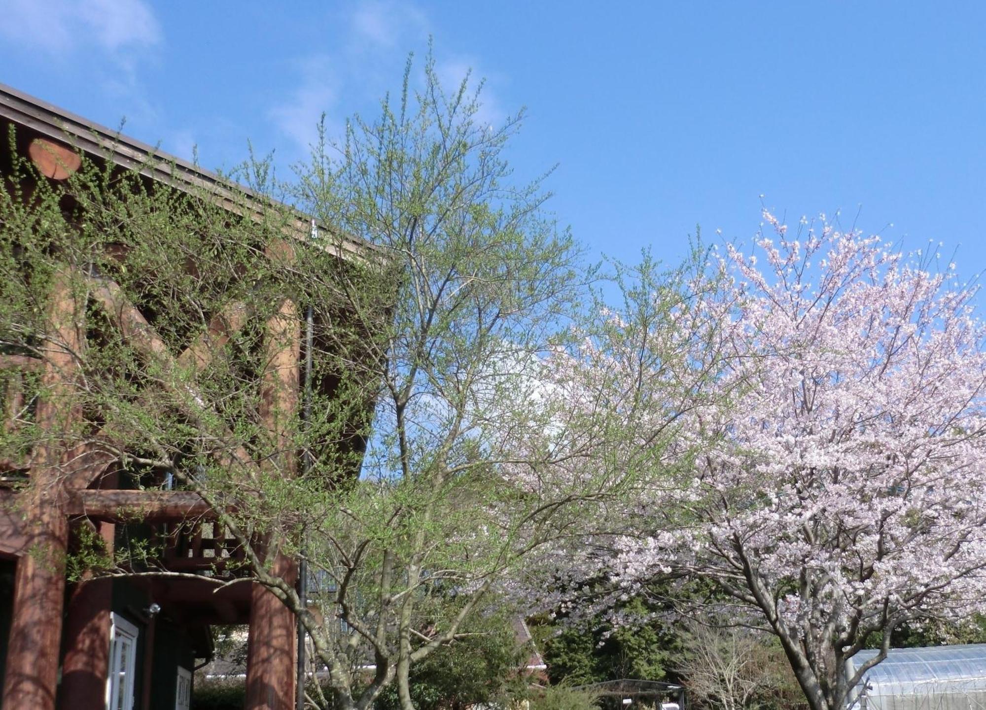 Lassy Condominium Kumamoto Exterior photo